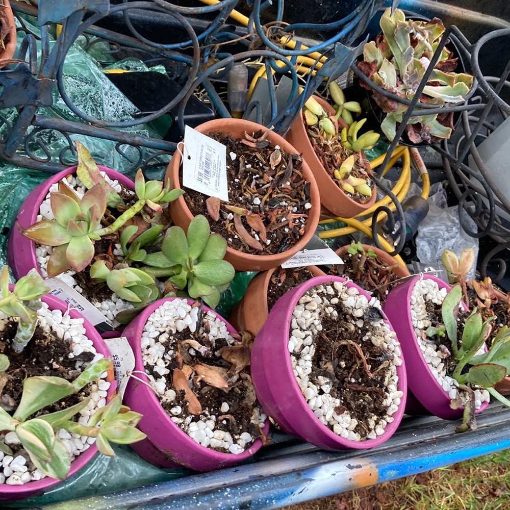 Pots